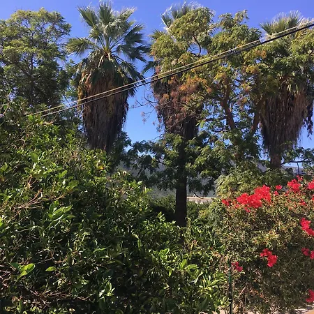 Beachfront Evgenia Leonídion
