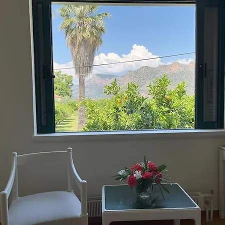 Beachfront Evgenia * Leonídion