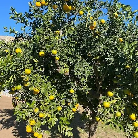 Beachfront Evgenia Willa Leonídion