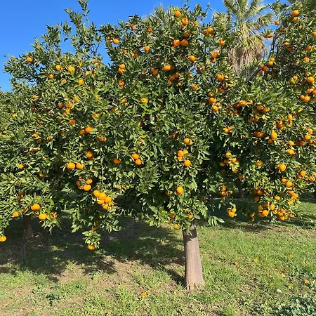 Willa Beachfront Evgenia *