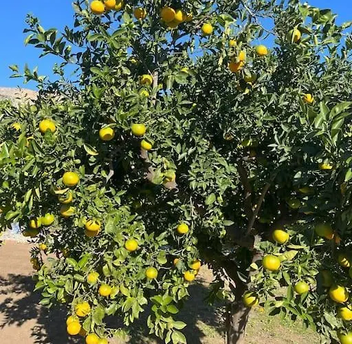 Beachfront Evgenia Villa Leonídion