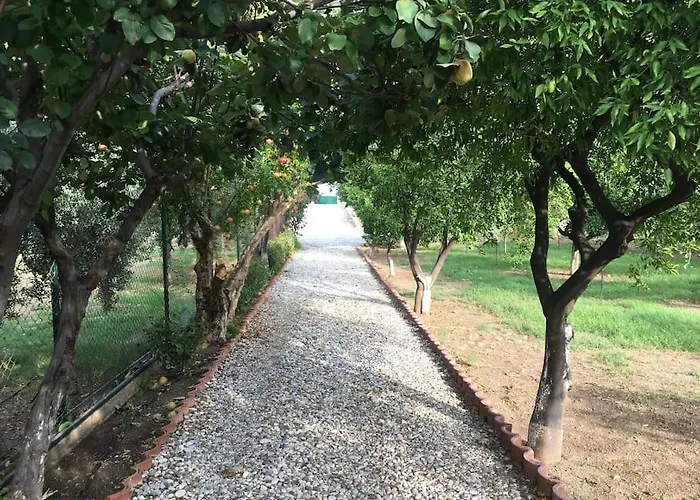 Beachfront Evgenia Villa