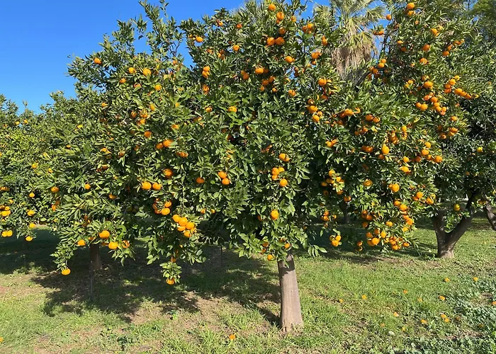 Villa Beachfront Evgenia *